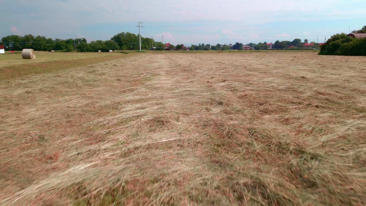 vuelo sobre los campos de heno durante un día soleado en primavera - toma aérea de drones