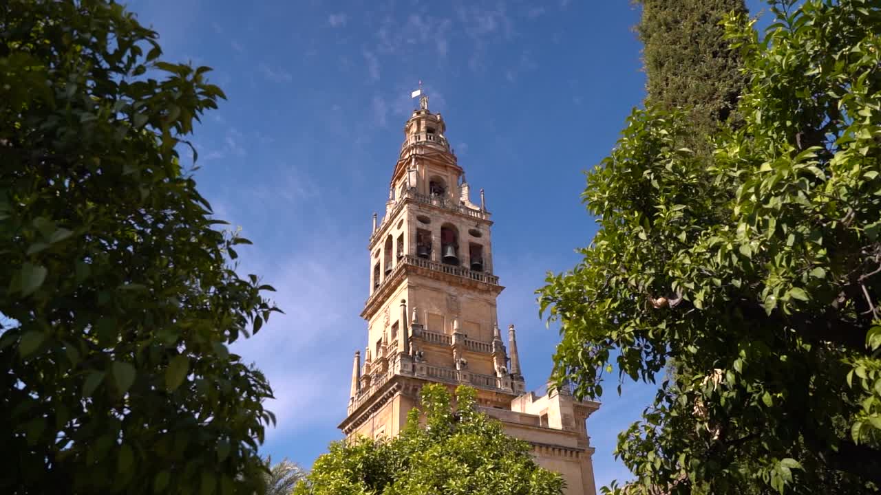 높은 교회 탑을 바라보는 두 나무 사이의 느린 슬라이딩 동작