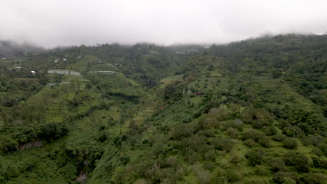Flying-over-jungle-landscape-in-Bali