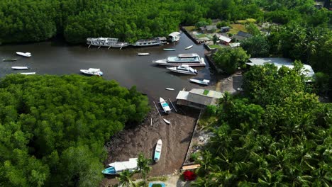 many boats moored in river surrounded by green trees during seaweed harvesting