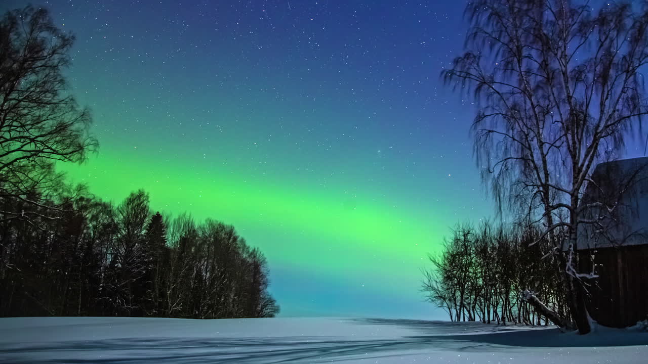 aurora boreal con tonos verdes y cielo azul sobre un paisaje nevado con árboles en el fondo y una casa