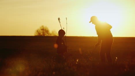 A-Father-With-A-Small-Son-Together-Plant-A-Tree