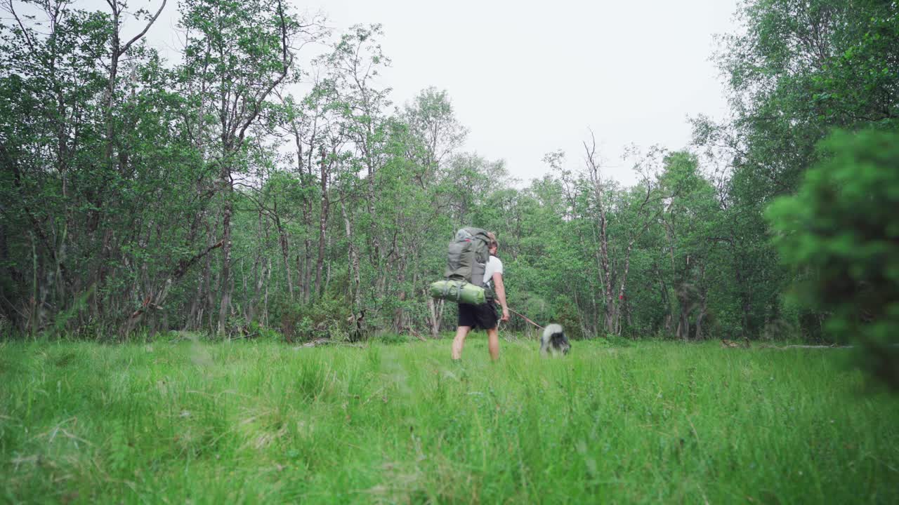 Escursionista con un Alaskan Malamute che cammina sul sentiero erboso attraverso la foresta a Trekanten, Norvegia.