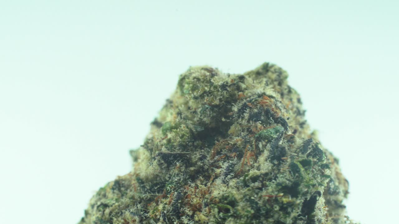 Macro Close up shot of a Marijuana sativa Super Lemon Amnesia Haze rock flowers, yellow, green and purple Kush, on a 360 rotating stand, in a black shiny bowl, Slow motion 4K video