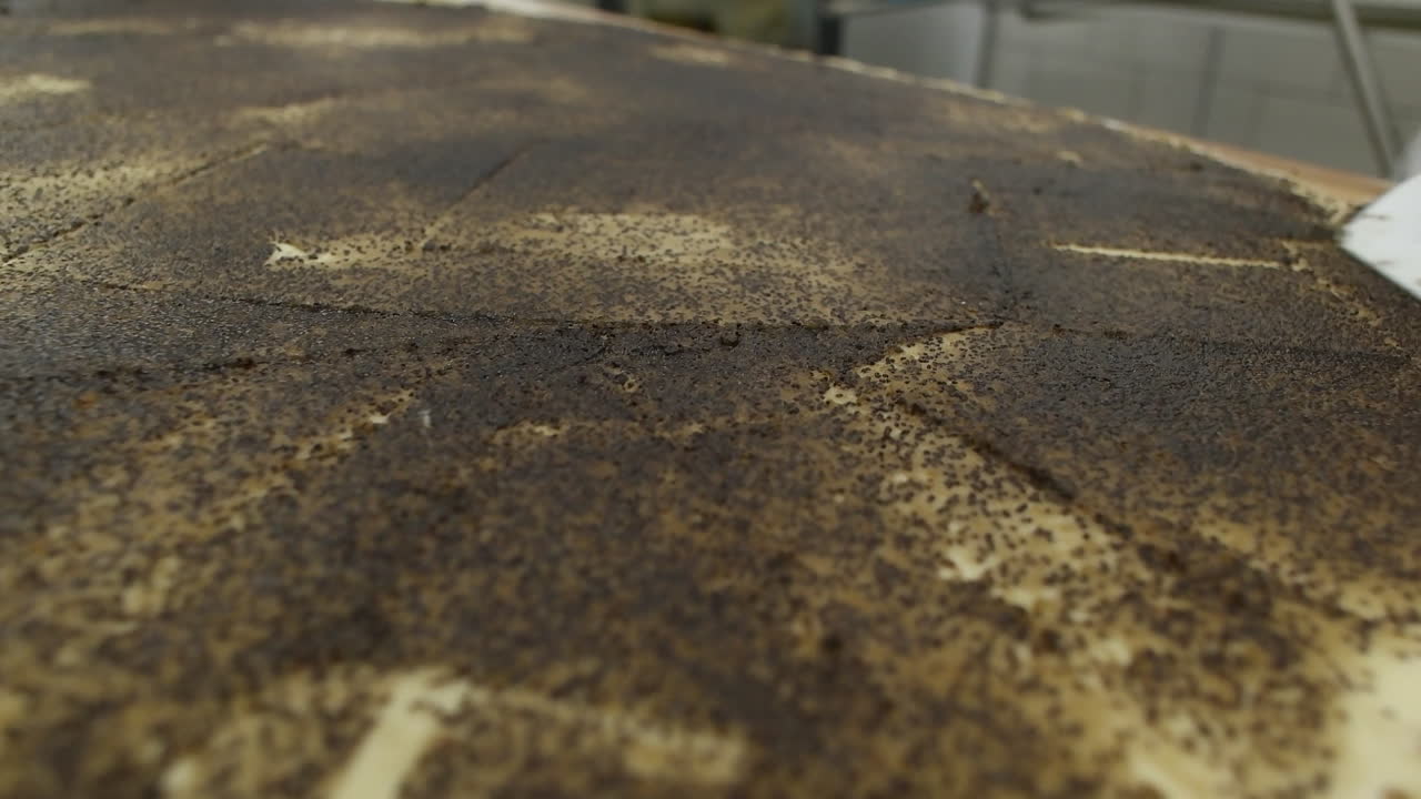 Preparing Cinnamon Rolls