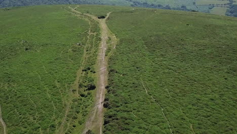 Aerial-wide-shot-tracking-back-over-a-dirt-path-in-the-middle-of-the-moor-in-Dartmoor,-England