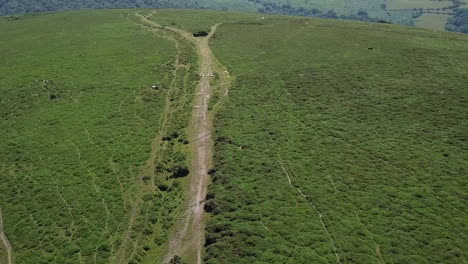 Seguimiento-Aéreo-De-Tiro-Amplio-Sobre-Un-Camino-De-Tierra-En-Medio-Del-Páramo-En-Dartmoor,-Inglaterra