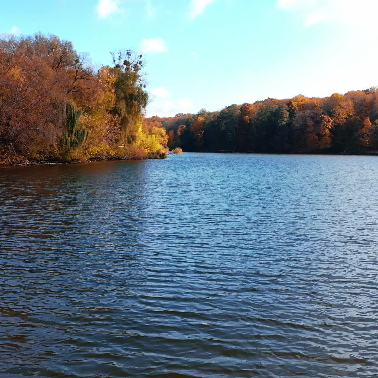 Calm dark surface of river flowing between the banks covered with woods. Bright trees overgrow the waterfront. Sunny autumn day in nature