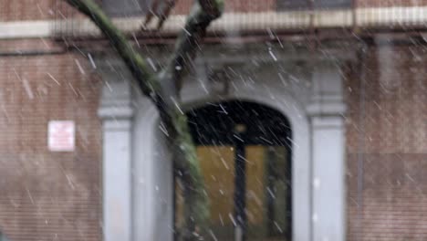 copos de nieve suaves cayendo en una calle de brooklyn durante una tormenta de nieve - toma detallada en cámara lenta