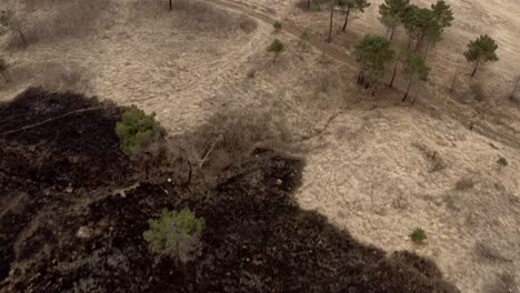 Auswirkungen-Des-Klimawandels-Auf-Hügel,-Nachdem-Ein-Feuer-Land-Zerstörte