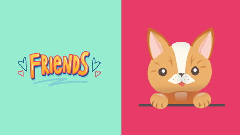 animation of cute pet cat and text friends, on blue and pink backgrounds