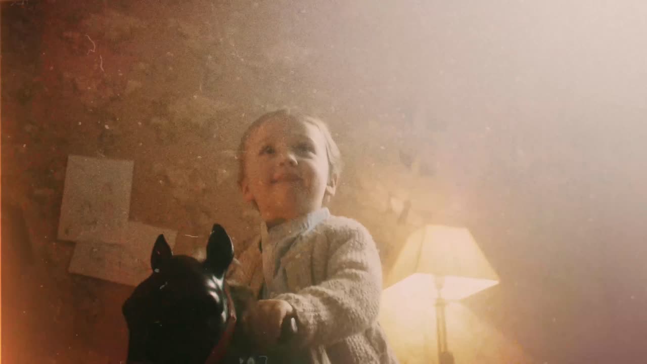 Família com cachorros se divertindo ao ar livre