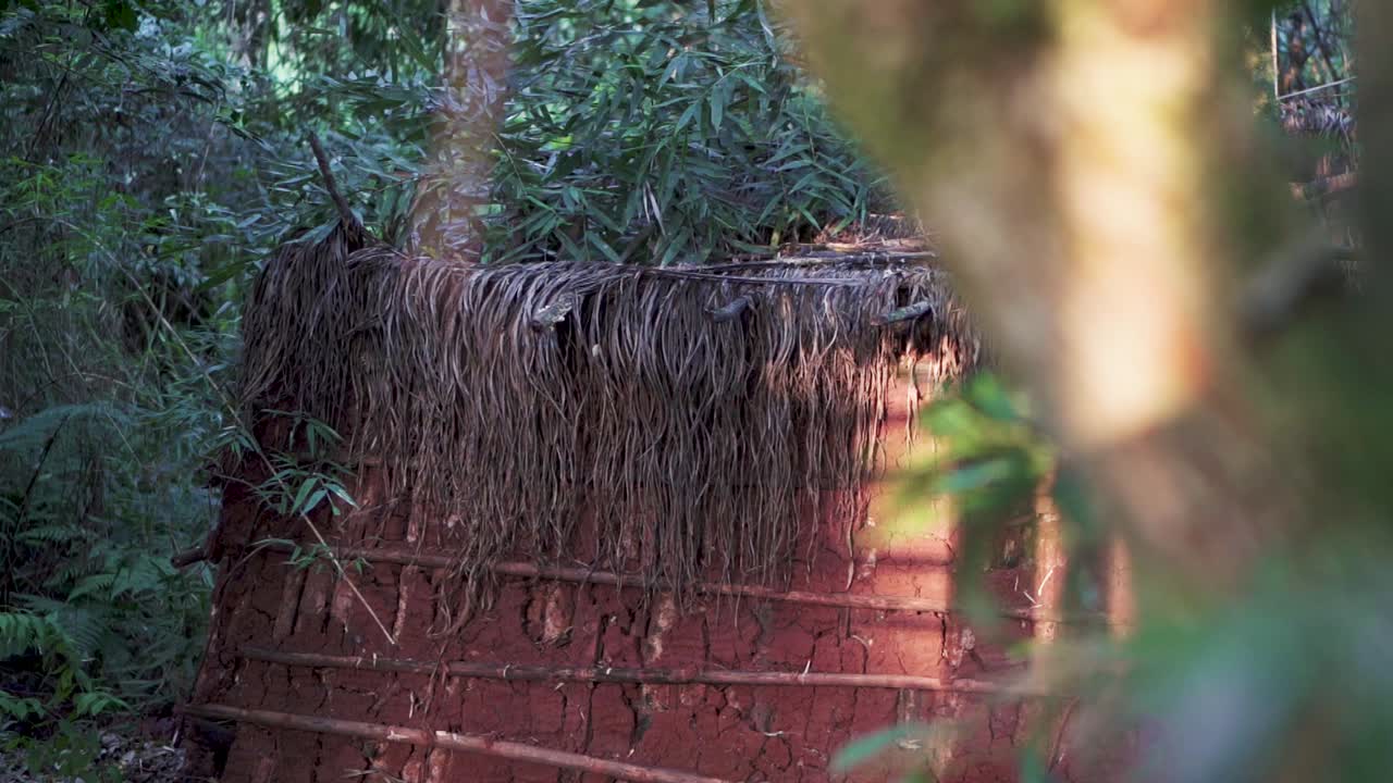 Traditional aboriginal dwelling showcasing sustainable building materials and blending harmoniously with the lush greenery of a tropical forest, slow motion reveal