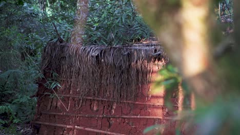 traditional aboriginal dwelling showcasing sustainable building materials and blending harmoniously with the lush greenery of a tropical forest, slow motion reveal