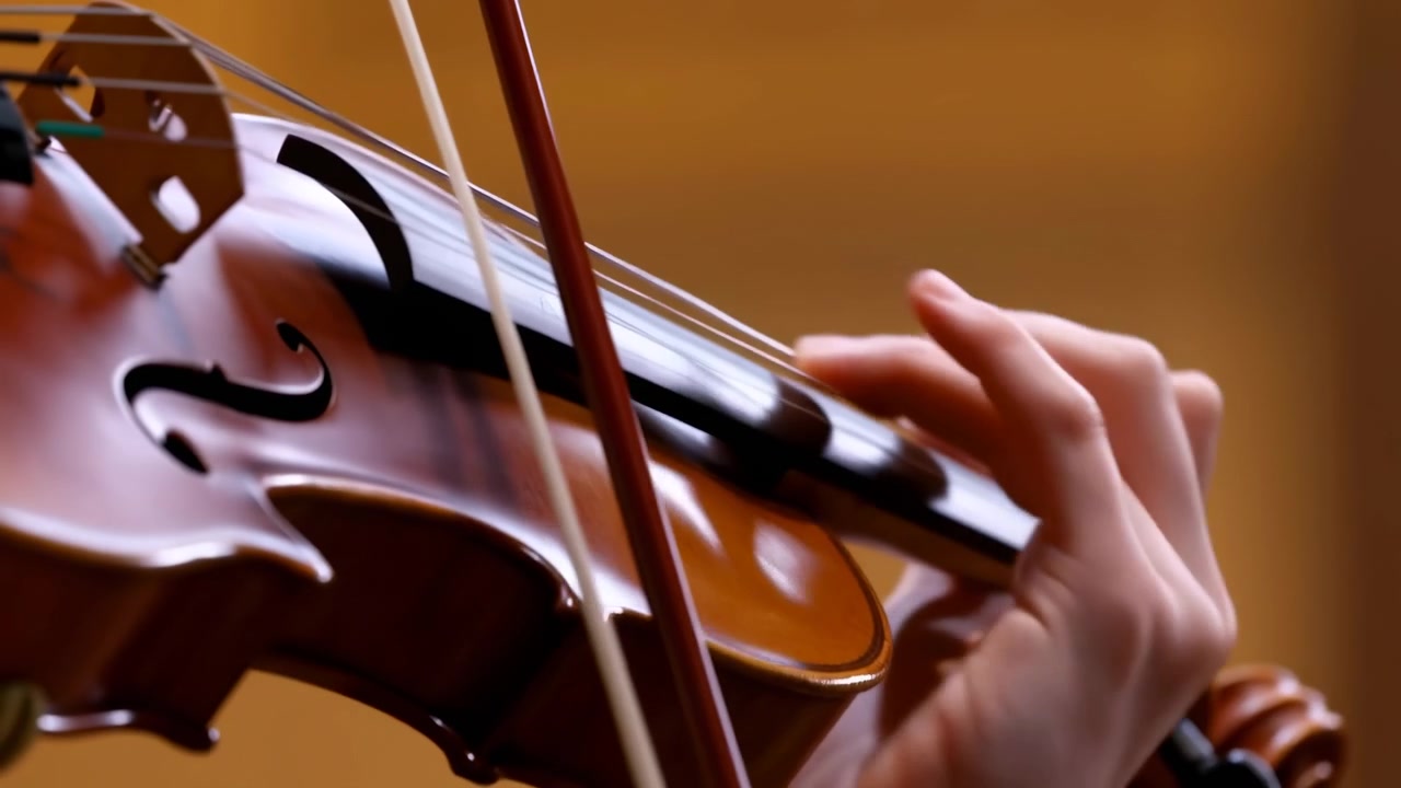 Violin playing violin, in indoor possibly a concert hall or studio, with violins, fingers on strings, with wooden violin bodies, metal strings and bridge texture, with brown, black accents.