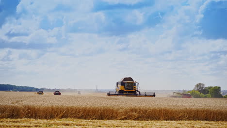 Rural landscape with combine. Combine harvester at work harvesting field wheat