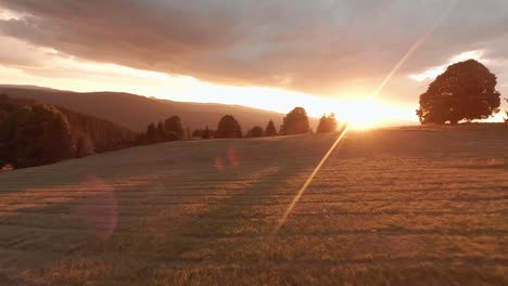 imágenes aéreas de un dron de carreras fpv de un prado iluminado por el sol durante una puesta de sol de verano