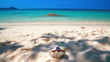 beautiful cinemagraph seamless video loop of a watch in a clam on a remote tropic asian seaside sand beach at perhentian island, malaysia with a huge tree and vibrant panoramic sea view. blue sky and turquoise water at the scenic tourist vacation location