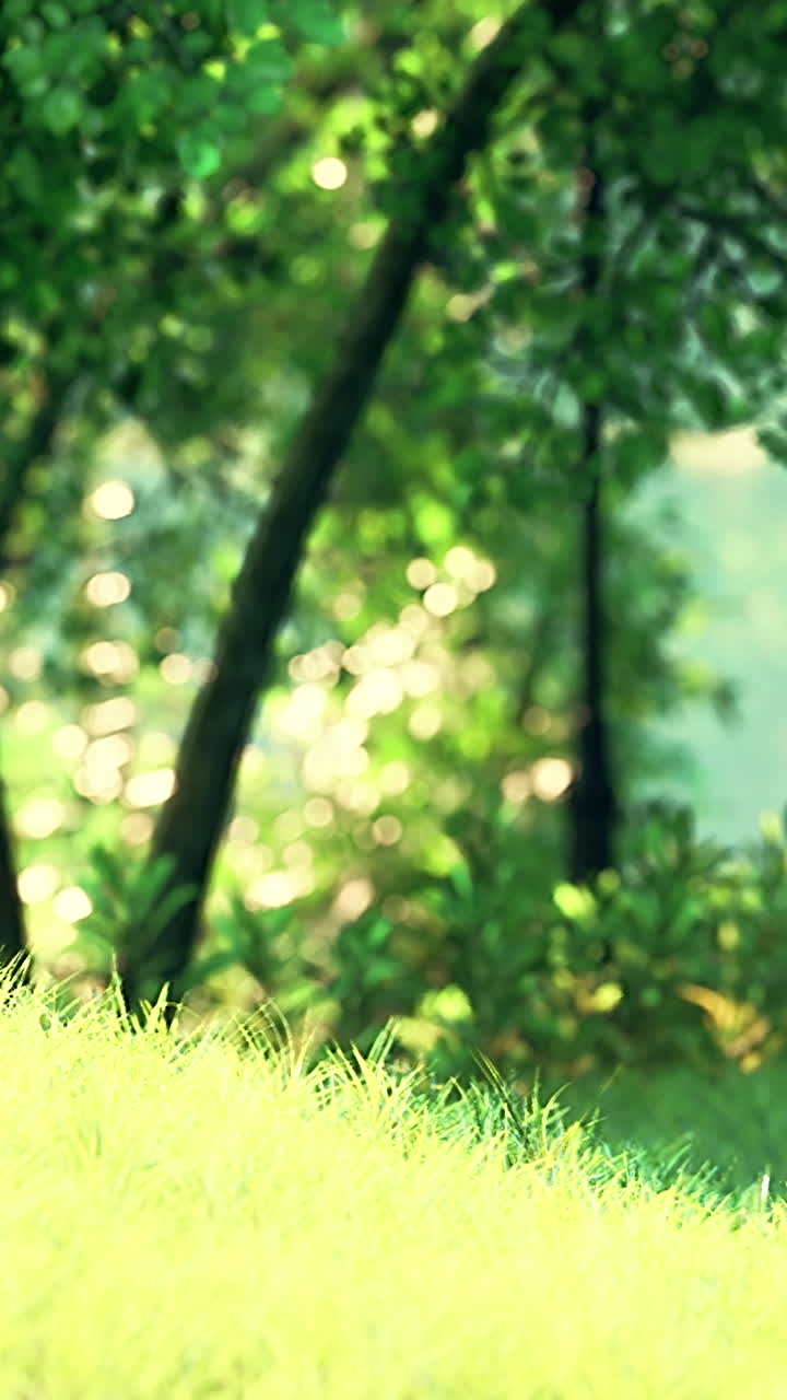뒷면 에 나무 가 있는 초록색 풀 의 근처