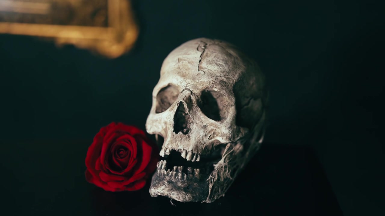 Un teschio umano riposa accanto a una rosa rossa su uno sfondo scuro con illuminazione drammatica.