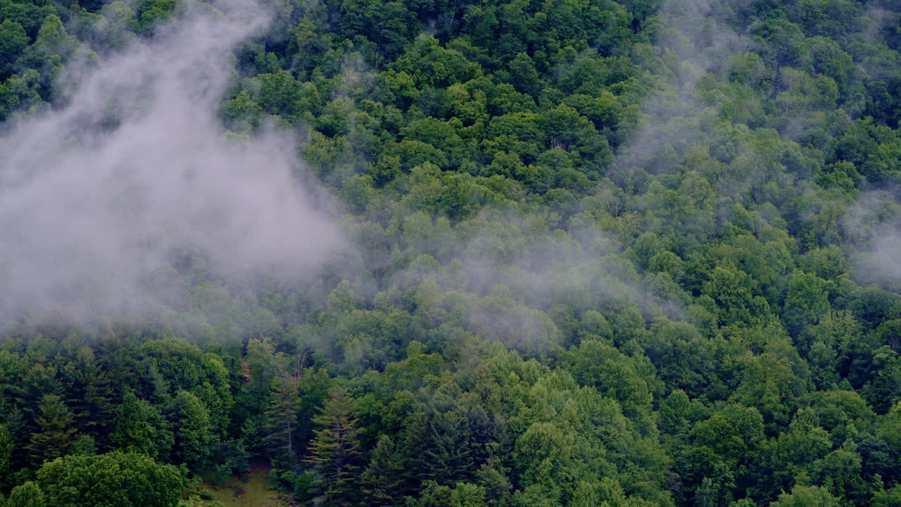 Drone footage hovering above a tranquil valley bathed in early-morning haze