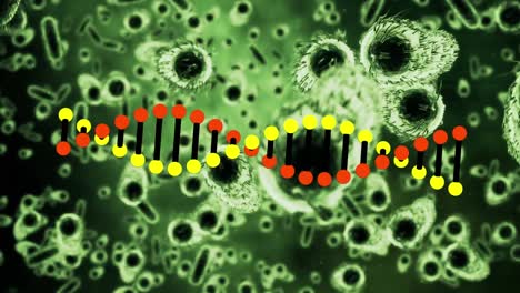 animation of dna strand rotating over covid 19 cells