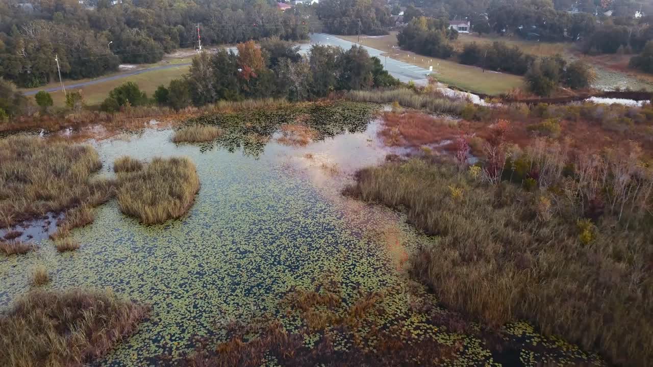 nenúfares en el lago florida y pantano desde una vista aérea
