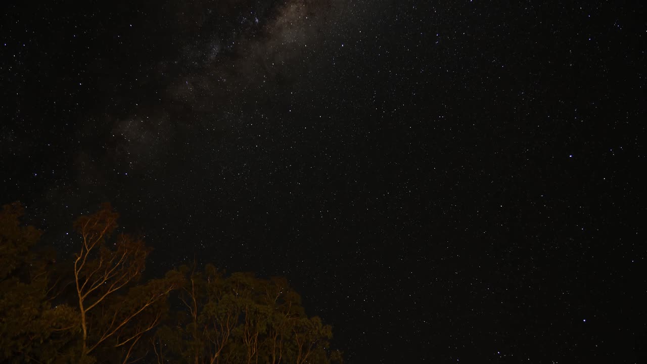 숲 위를 이동하는 은하계의 타임 스