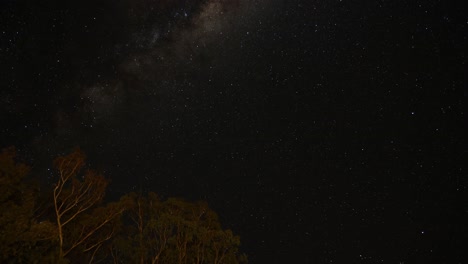 time-lapse of the milky way moving over forest