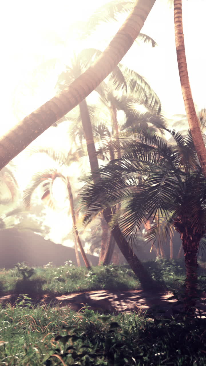 selva tropical con palmeras