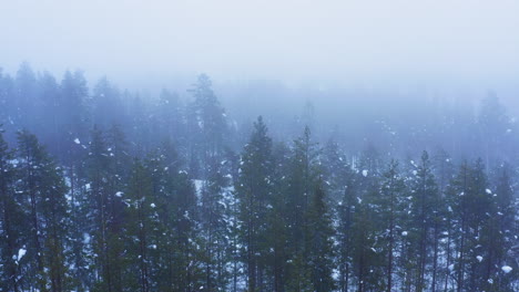 Luftdrohnenvideo-Von-Verschneiten-Wäldern-An-Einem-Nebligen-Wintermorgen