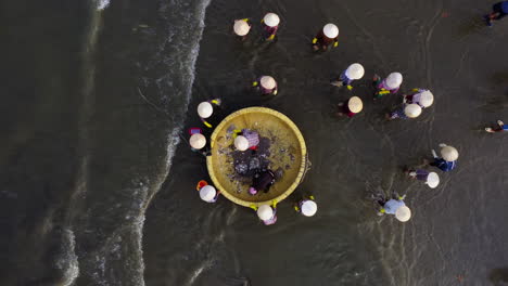 aerial top down view of vietnamese people with typical rice hat cleaning coracle boat