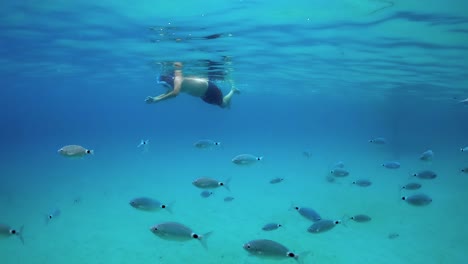 Slow-motion-underwater-scene-of-man-snorkeling-with-full-face-snorkel-mask-in-blue-tropical-sea-water-with-school-of-fish-swimming-beneath-surface