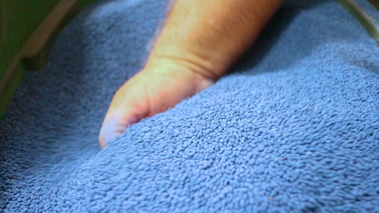 semillas de cicer milkvetch utilizadas como cultivo de cobertura, vendidas por una pequeña empresa que vende semillas a los agricultores para mejorar la salud del suelo