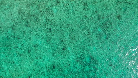 tiro de drone ascendente de agua cristalina del océano