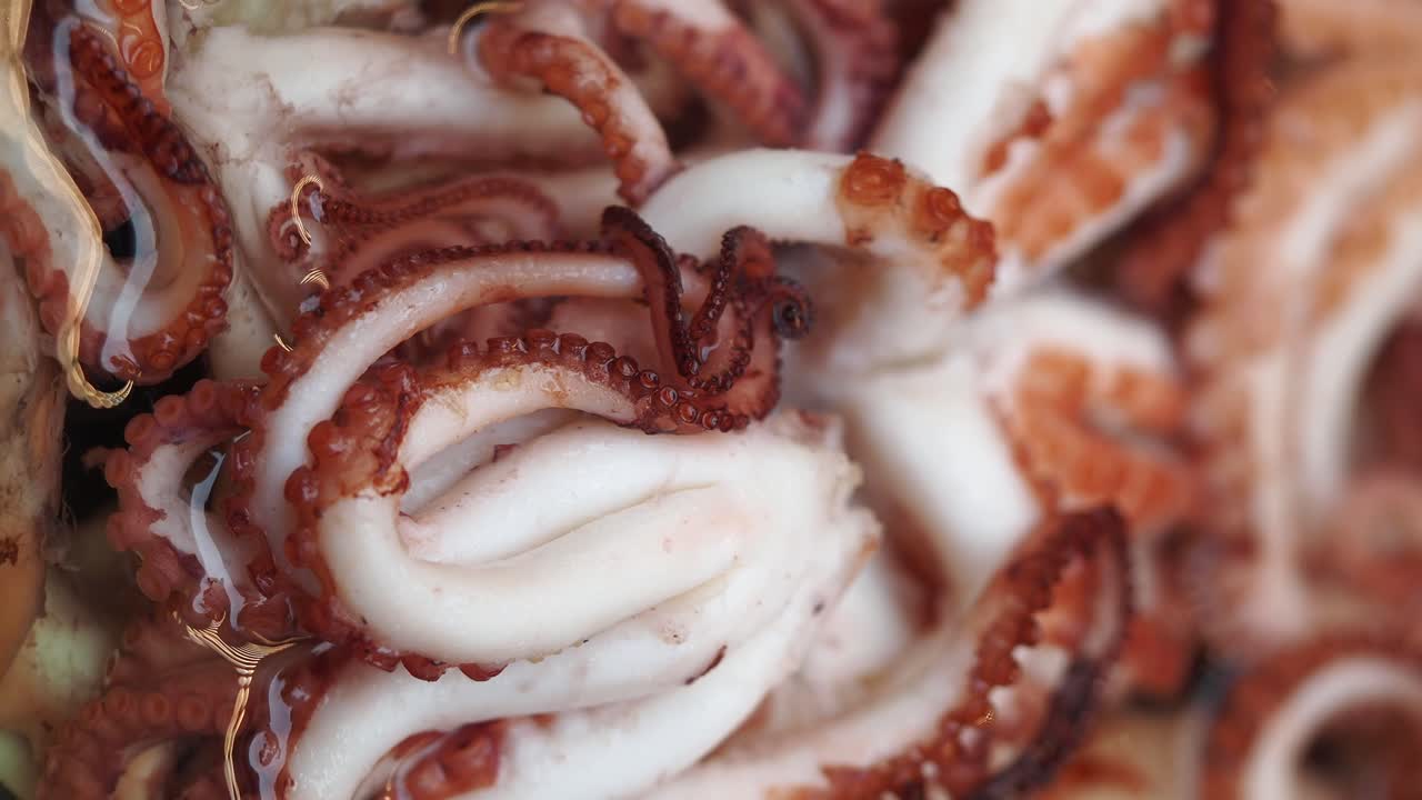 приготовленный осьминог