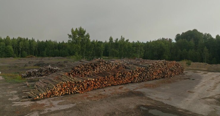 Drone orbit around large piles of neatly stacked logs stored at a forestry site, showcasing timber storage, wood resources, harvesting and sustainable forestry operations.