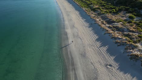 toma aérea de la pareja disfrutando de un paseo por la playa de arena a lo largo del océano pacífico en australia durante la luz del sol