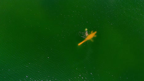 person scuba diving swimming underwater in the green ocean with a very large fish shape object in the water