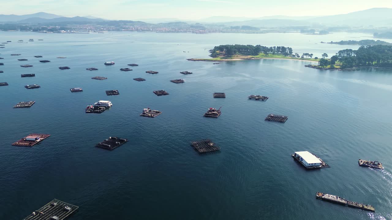 Aerial View of Mussel and Oyster Farms in the Ocean