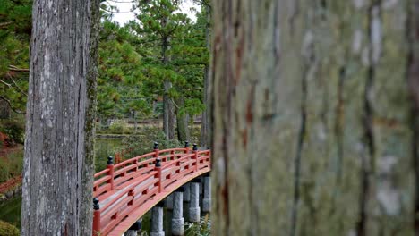 a cinematic view of a traditional bridge located within the sacred temple grounds of danjo garan in mount koya, koyasan, japan.