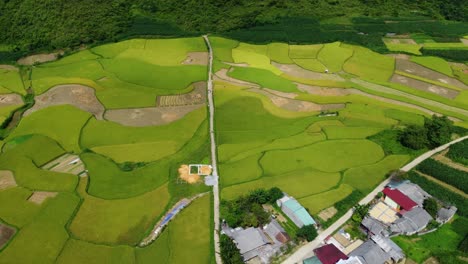 beautiful green meadow next to yên minh in the yên minh district, ha giang, vietnam