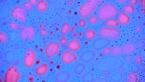 curlicue of paints