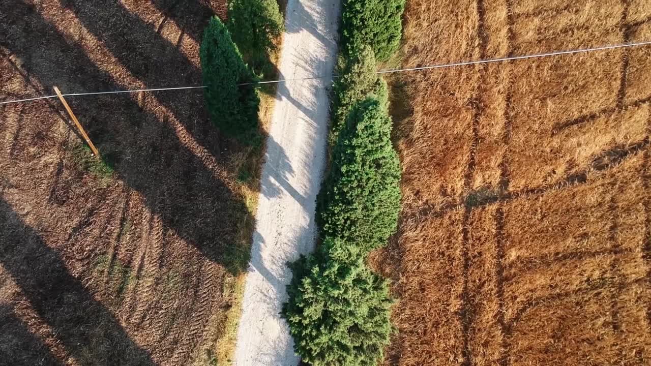 largo camino de tierra en los campos, con una larga sombra del árbol al atardecer