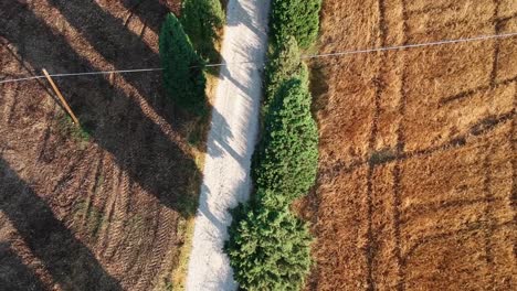 Largo-Camino-De-Tierra-En-Los-Campos,-Con-Una-Larga-Sombra-Del-árbol-Al-Atardecer