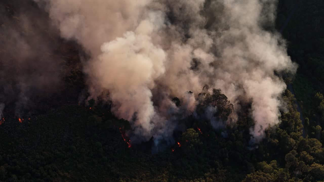 Fumo di incendio boschivo in Portogallo luglio 2025 2.