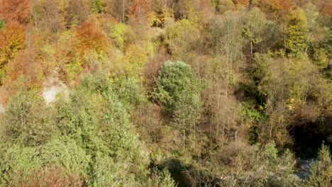 Drohne-Fliegt-über-Mädchen-Auf-Dem-Dach-Eines-Retro-Wohnmobils-Im-Wald