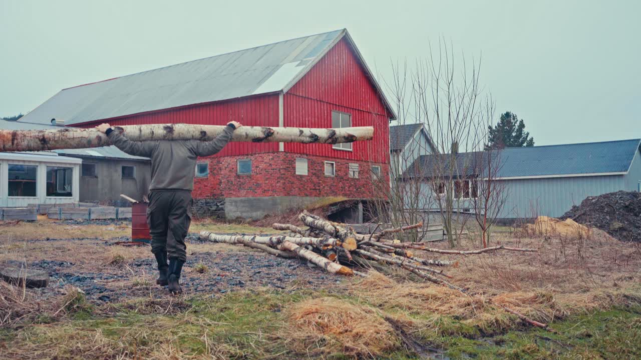 A Man Carries a Large Birch Log on His Shoulders in a Rural Farm Setting - Static Shot