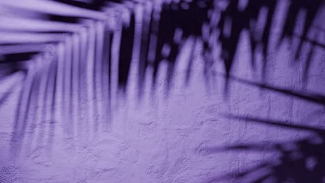 shadow of palm leaves on textured purple plaster wall with natural sunlight. tropical plant silhouette on stucco surface. design for wallpaper, banner, postcard, greeting card, poster, vertical