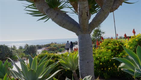 Couple-walking-along-an-oceanside-path-that-is-lined-with-colorful-flowers-and-plants